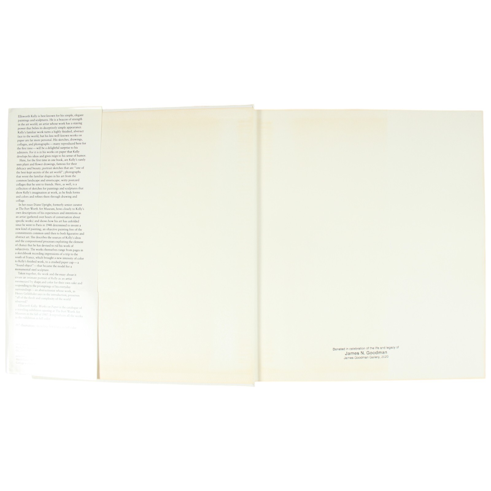 Ellsworth Kelly Hard Edge Minimalist Art Book Color Field Geometric Abstract MCM