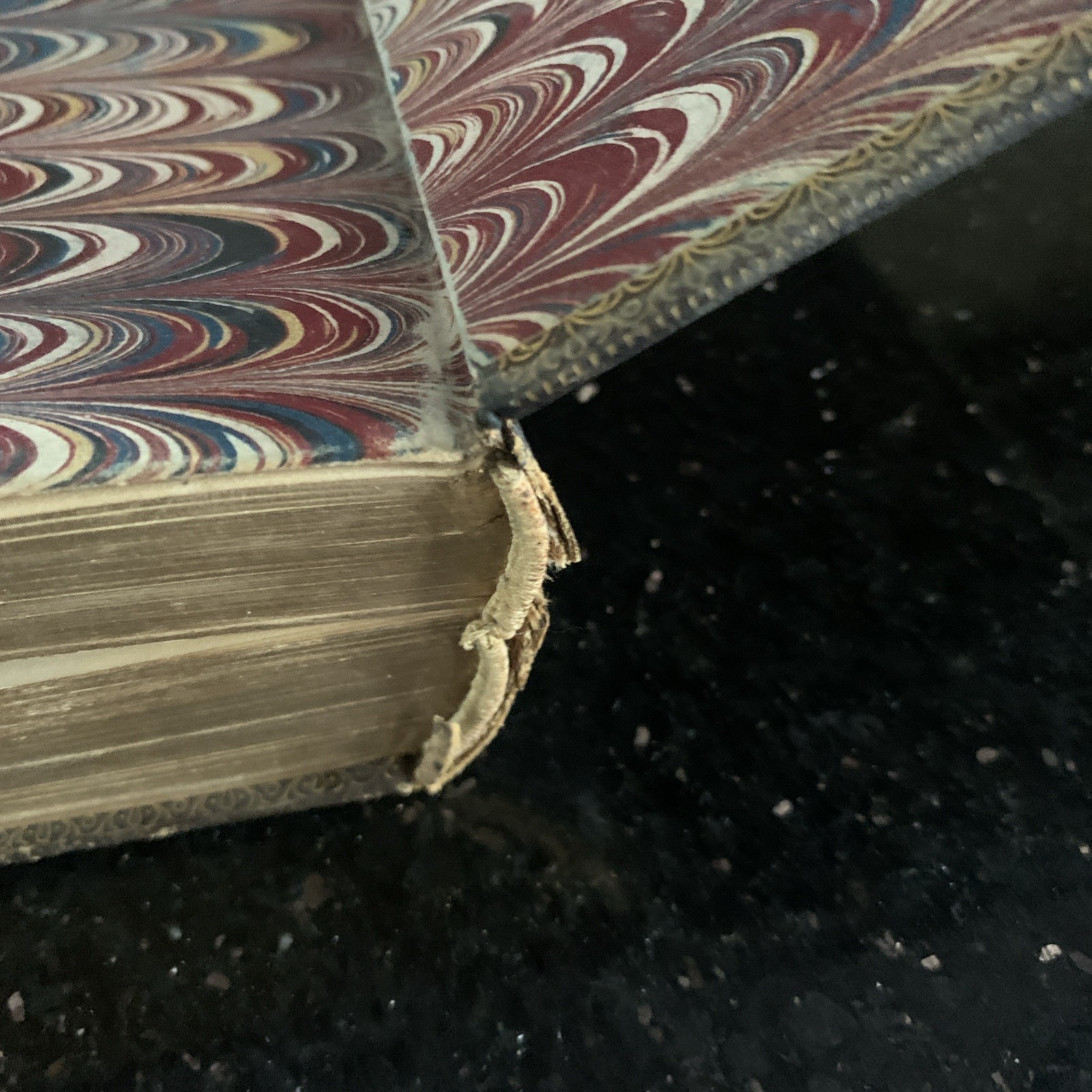 1860 Episcopal Book Of Common Prayer D. Appleton & Company