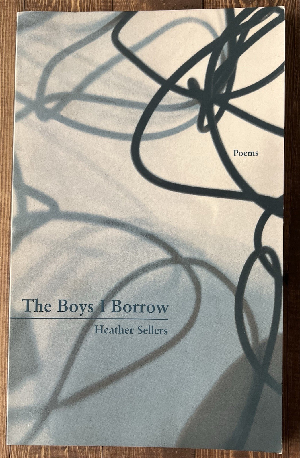 The Boys I Borrow by Heather Sellers 2007 Paperback Poetry Book 1st Edition