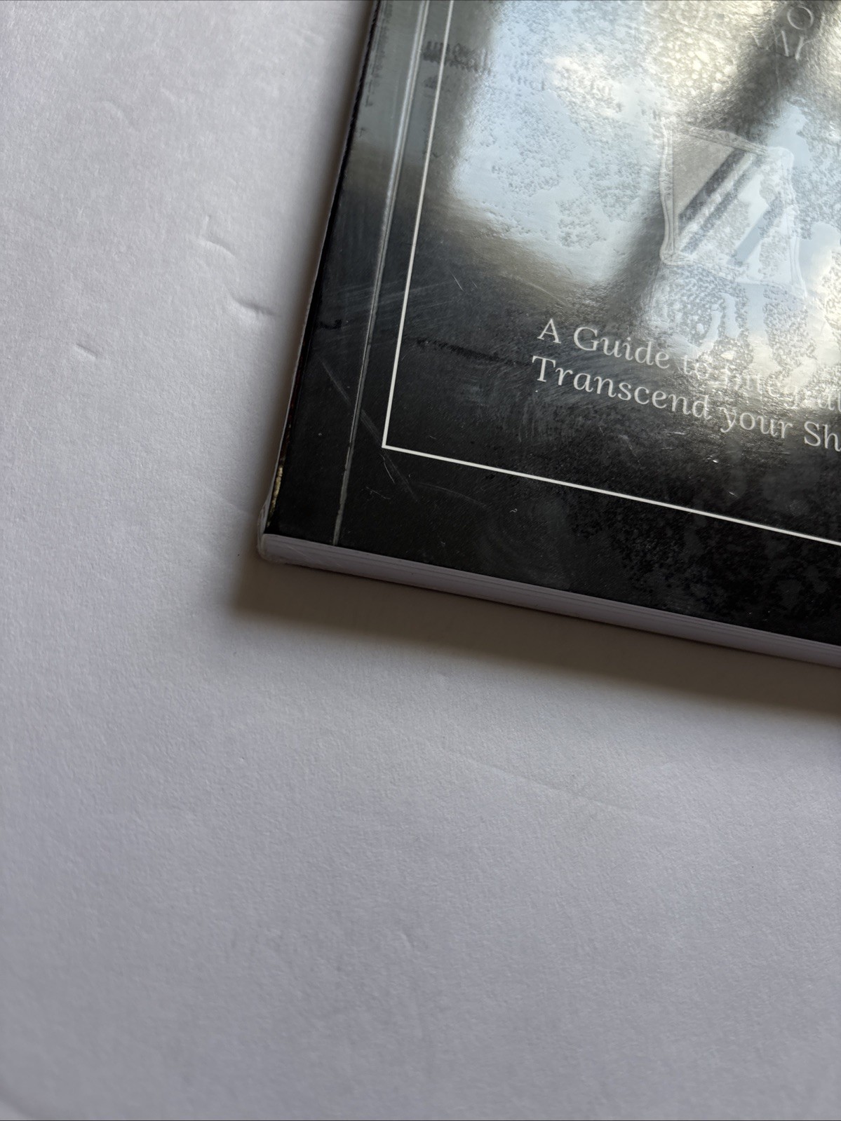 The Shadow Work Journal A Guide to Integrate and Transcend your Shadows NEW