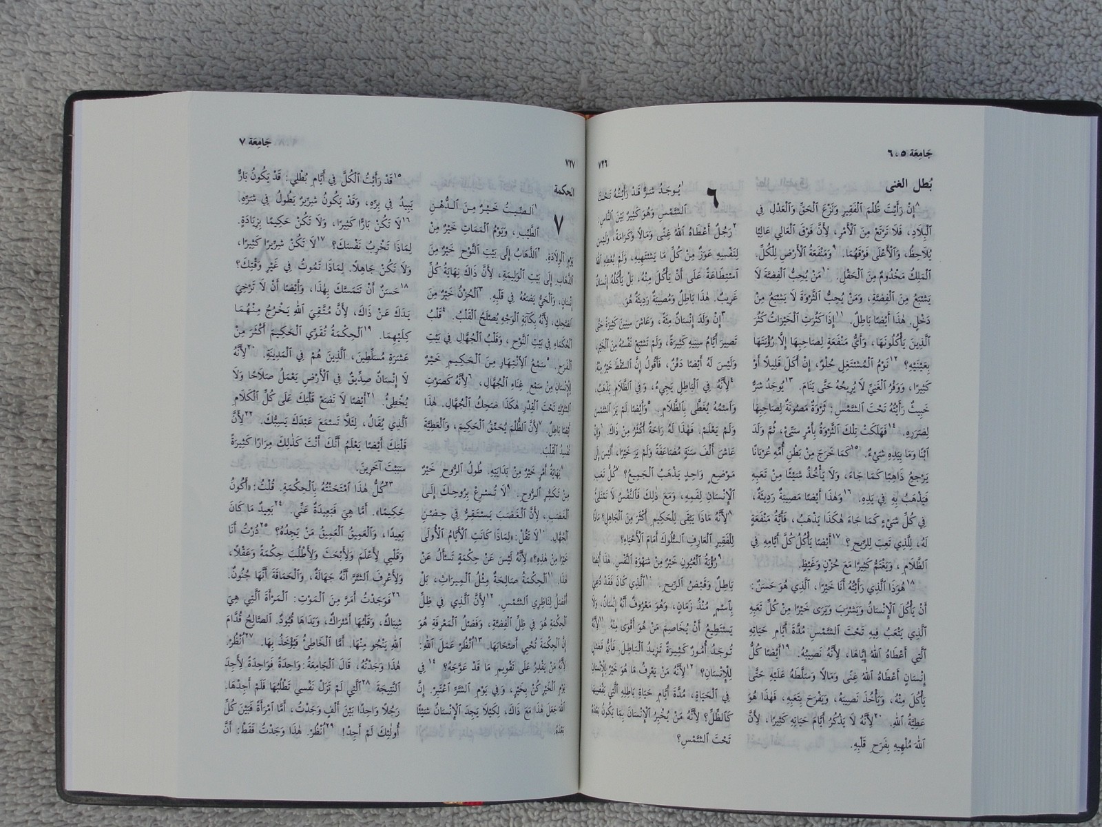 Arabic Bible, New Van Dyck Version, Black Leather Zipper, Classical, Medium
