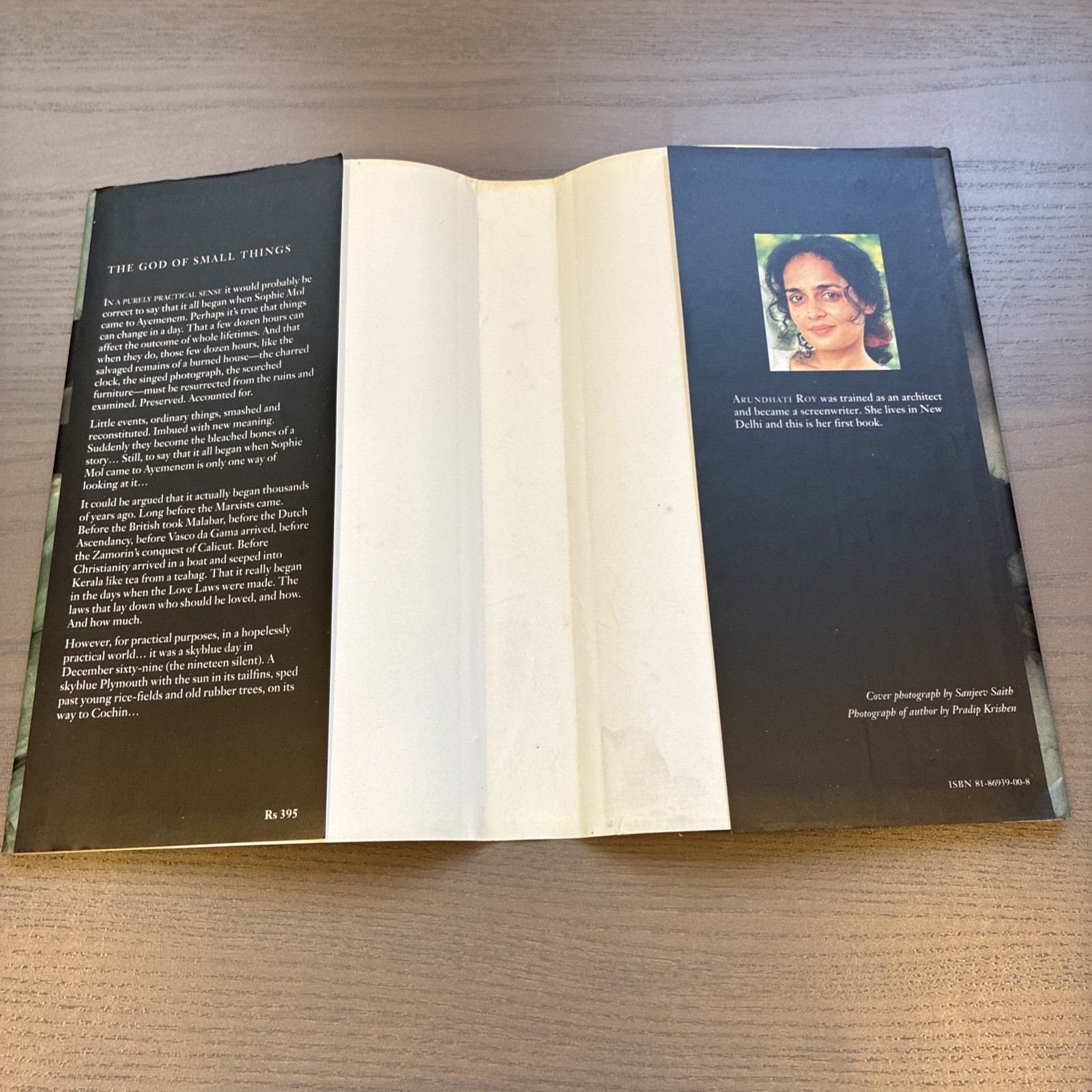INDIA INK EDITION The God of Small Things By Arundhati Roy (1997, Hardcover)