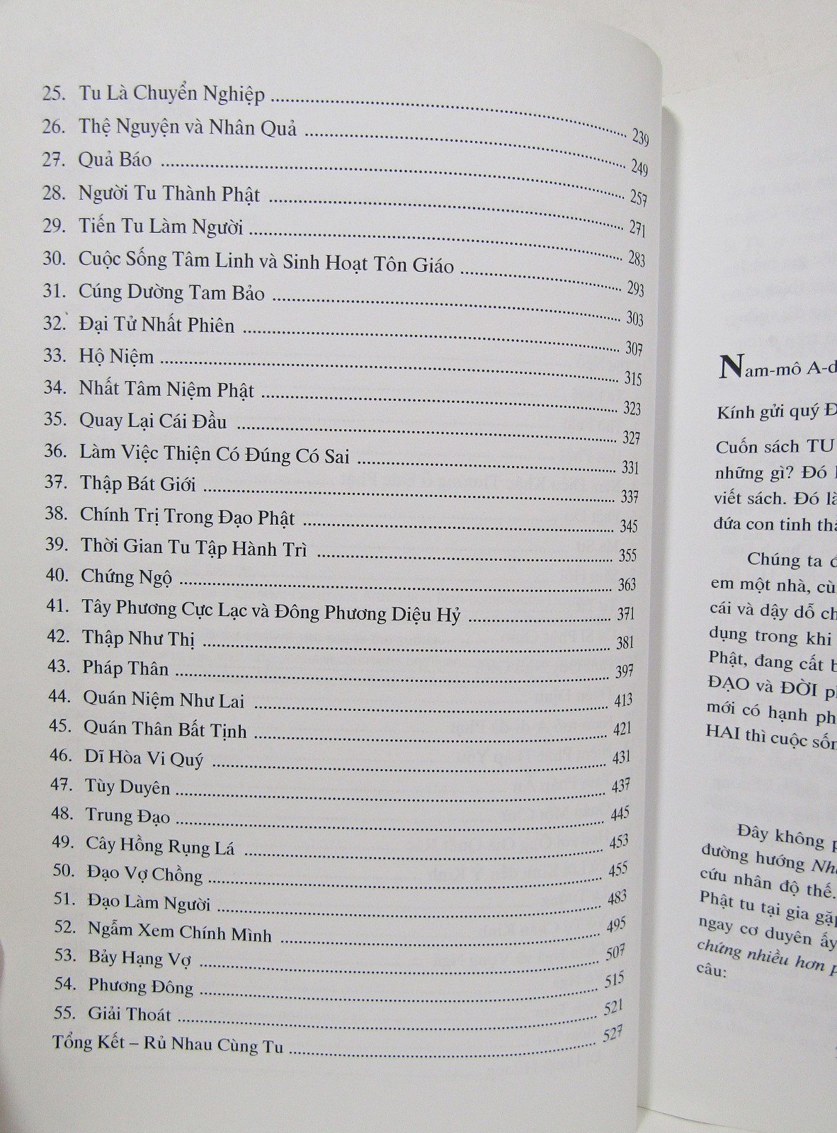 Tu Tai Gia by Bao Thong Le Thai At 2010 Cat Tien Buddhist Book 528 Pages