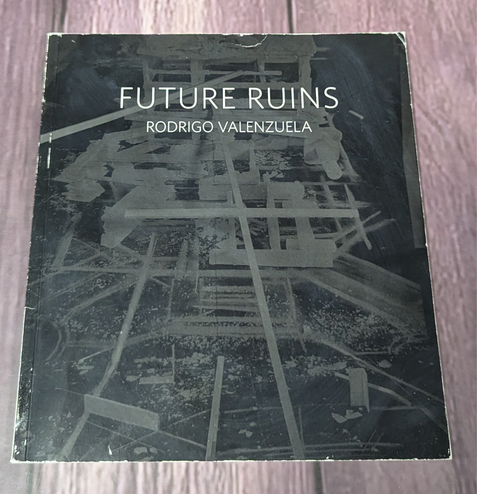 Future Ruins : Rodrigo Valenzuela by Jo-Anne Birnie Danzker – SHIPS FREE!