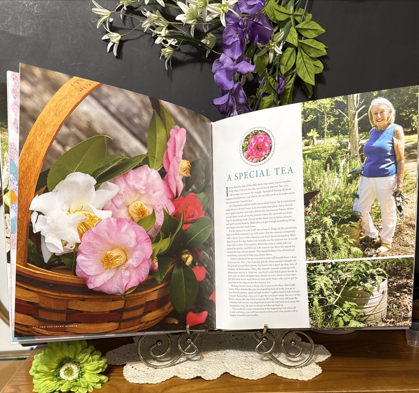 The Southern Mirror By Brenda Gantt 2025 Coffee Table Book Cookbook Kitchen