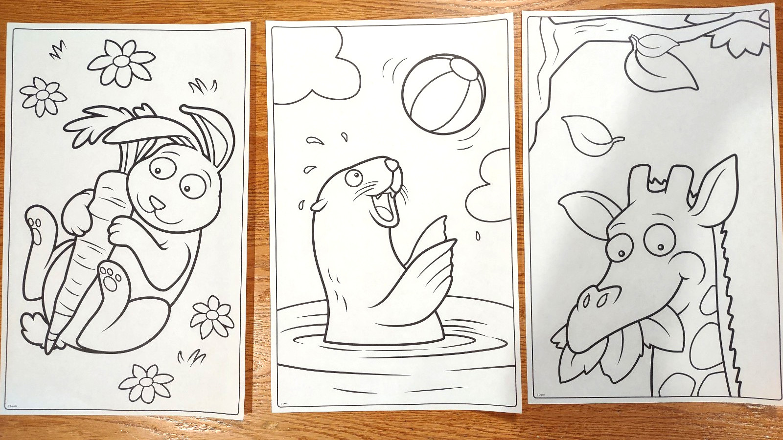Crayola Giant 20 Coloring Pages Book Animals 10.5 in W X 17 in Long – 18 Pages