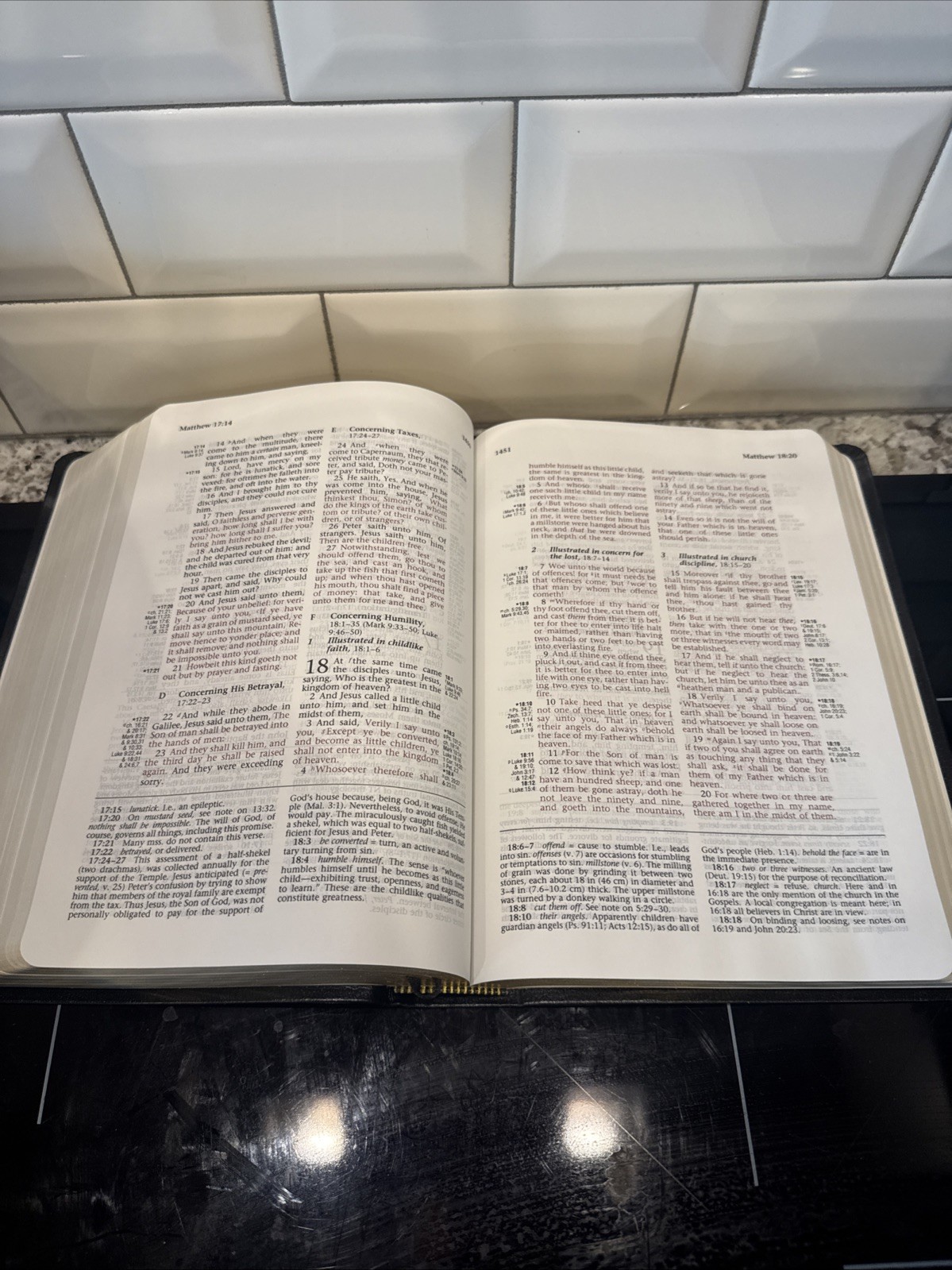 NIB KJV Ryrie Study Bible Black Genuine Leather Bound Red Letter Reference Tools
