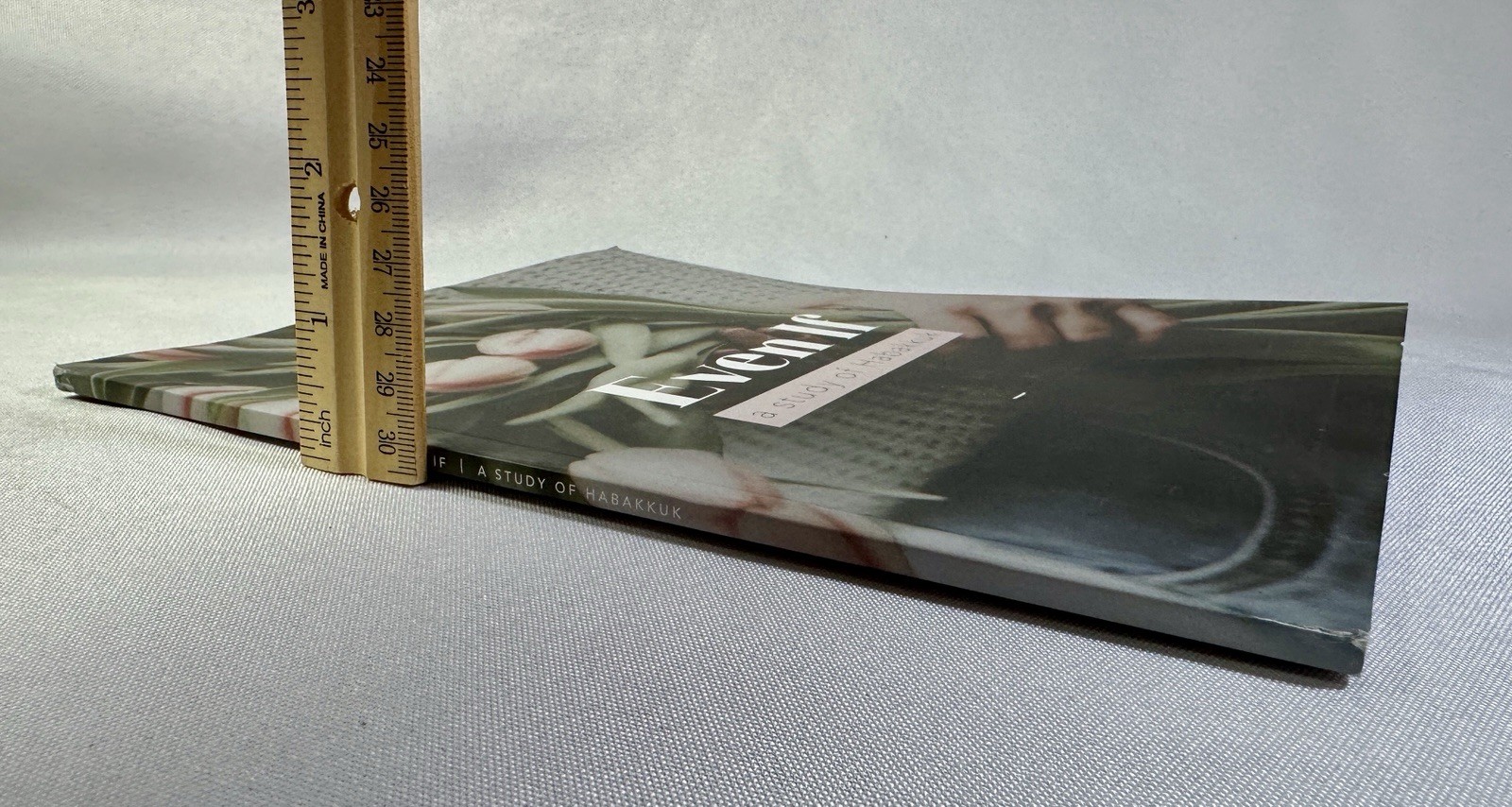 Even If a study of Habakkuk by The Daily Grace Co. Book Kristin Schmucker