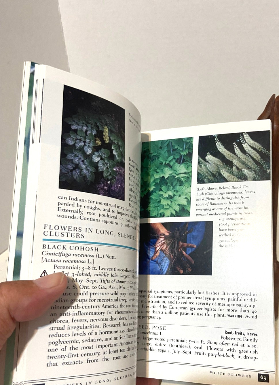 NEW Peterson Field Guide MEDICINAL PLANTS AND HERBS Eastern/Central