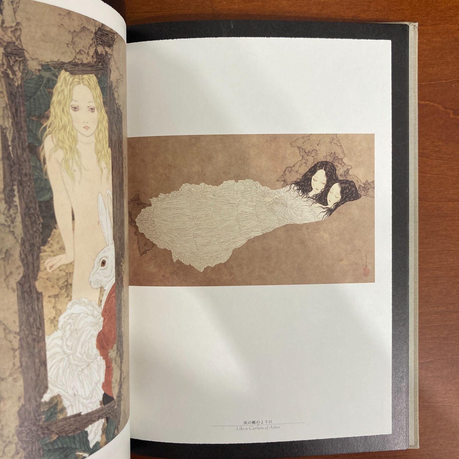Takato Yamamoto Rib of a Hermaphrodite Art Book Illustration