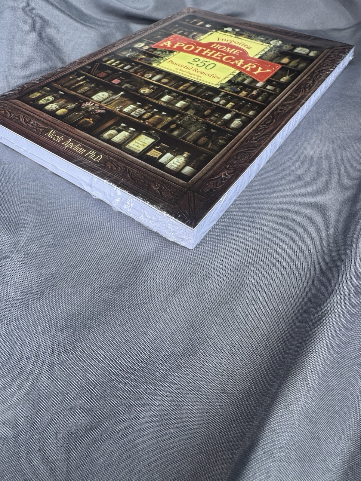 Forgotten Home Apothecary 250 Powerful Remedies — Paperback –New