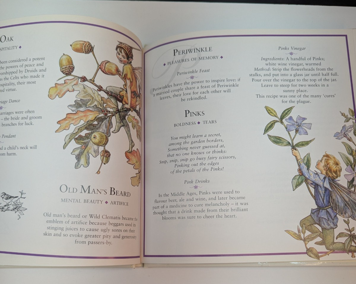 Flower Fairies: The Meaning of Flowers Frederick Warne 1996 Hardcover Vintage