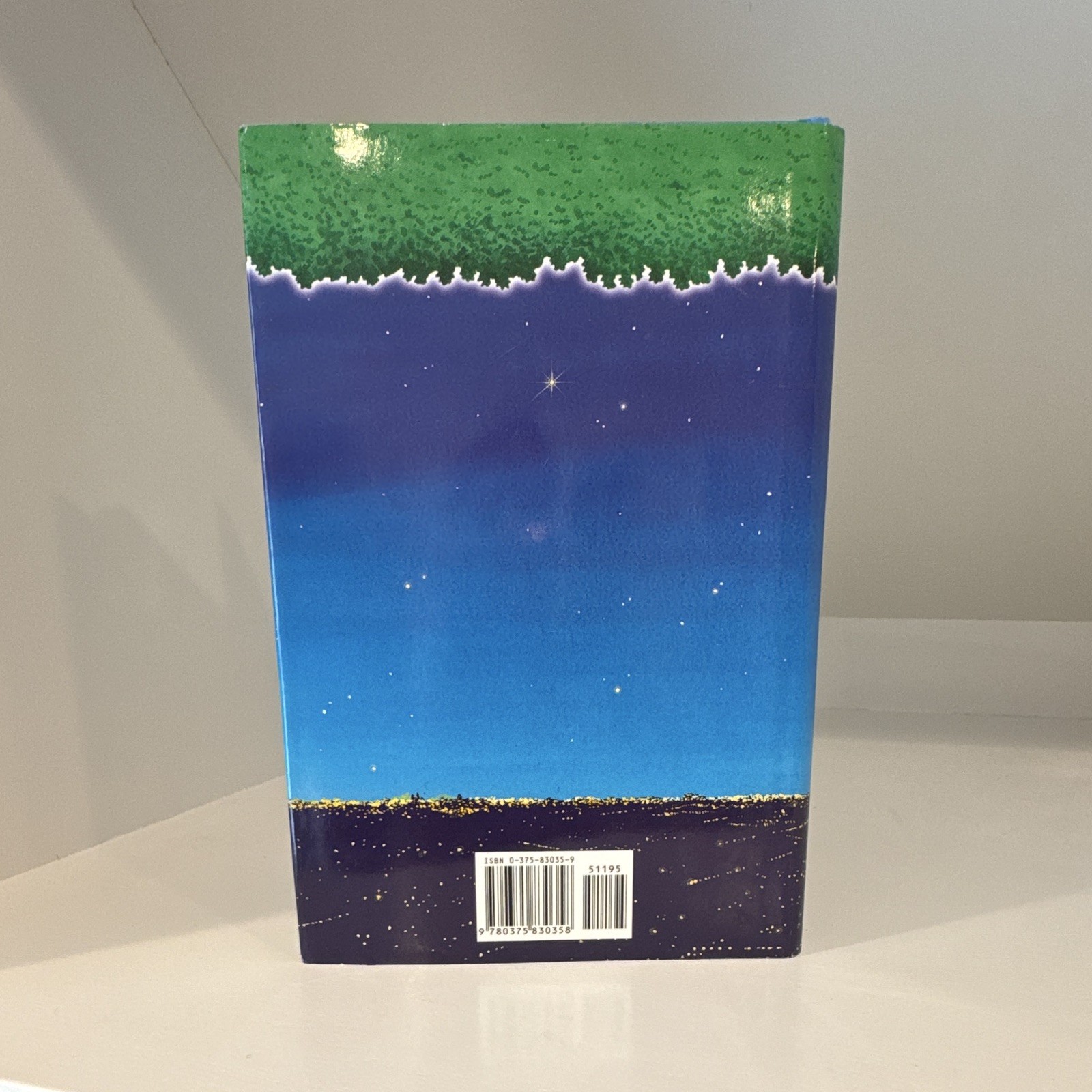 Magic Tree House Merlin Mission #35 Night of the New Magicians Mary Pope Osborne