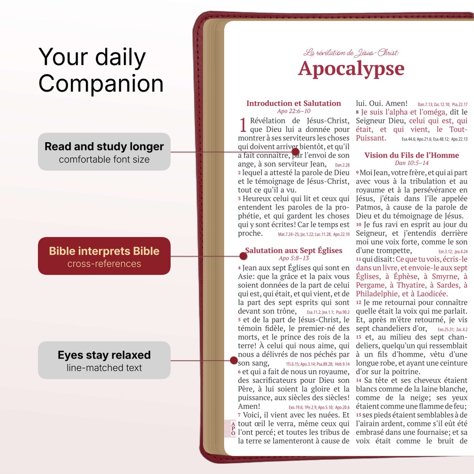 Red Louis Segond French Bible LARGE Print – LSG Bible Rouge en Français by SP