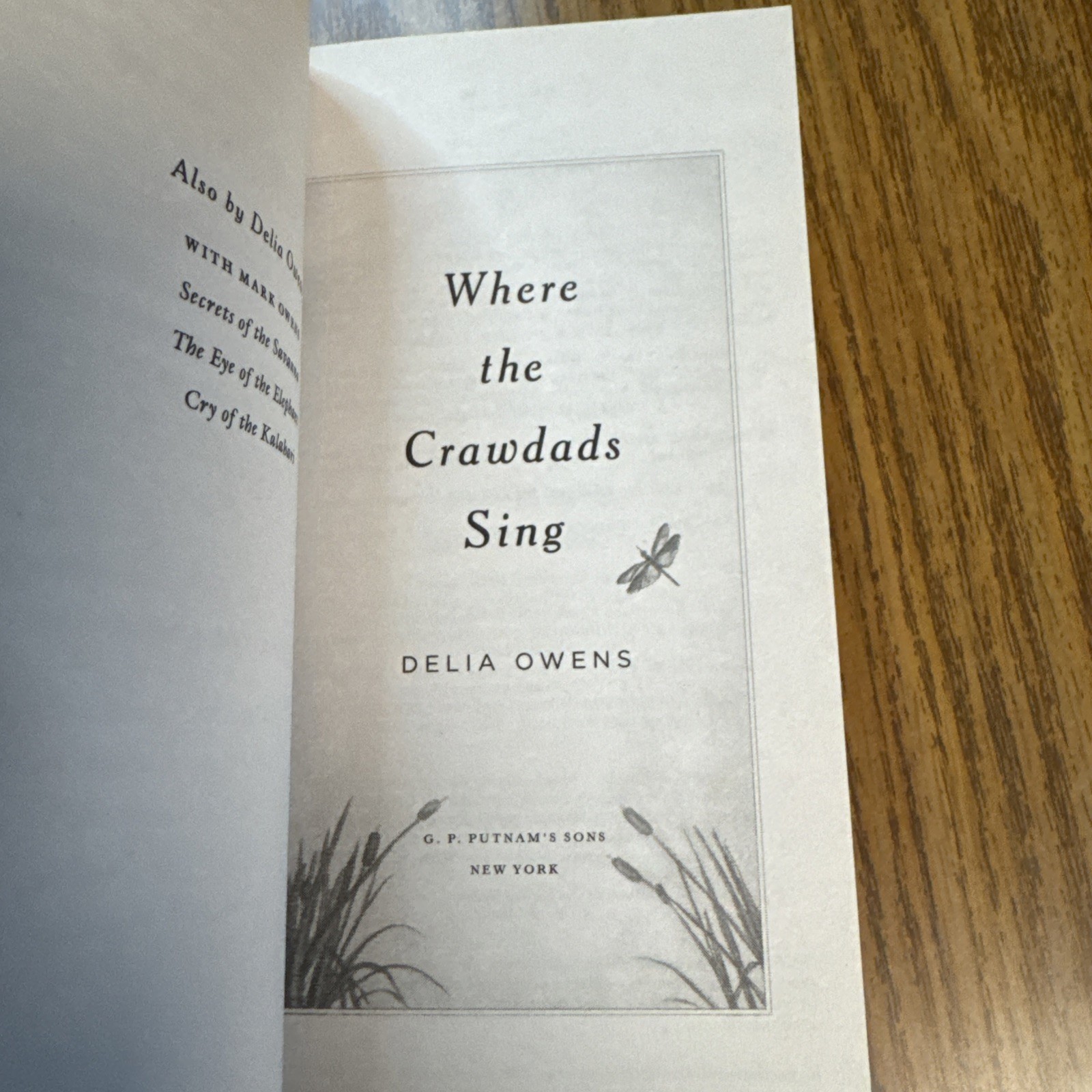 Where The Crawdads Sing – Delia Owens