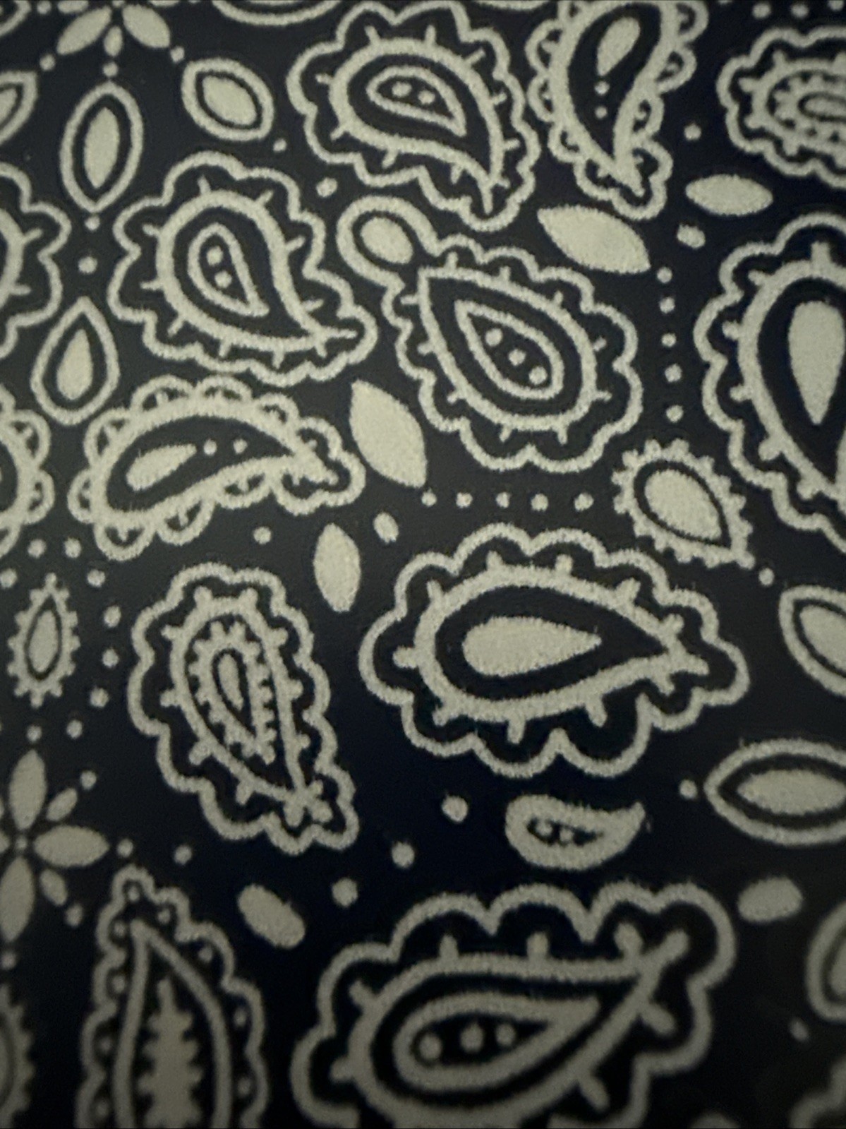 25- June 2026 Paisley Datebook (Spiral Bound) @386