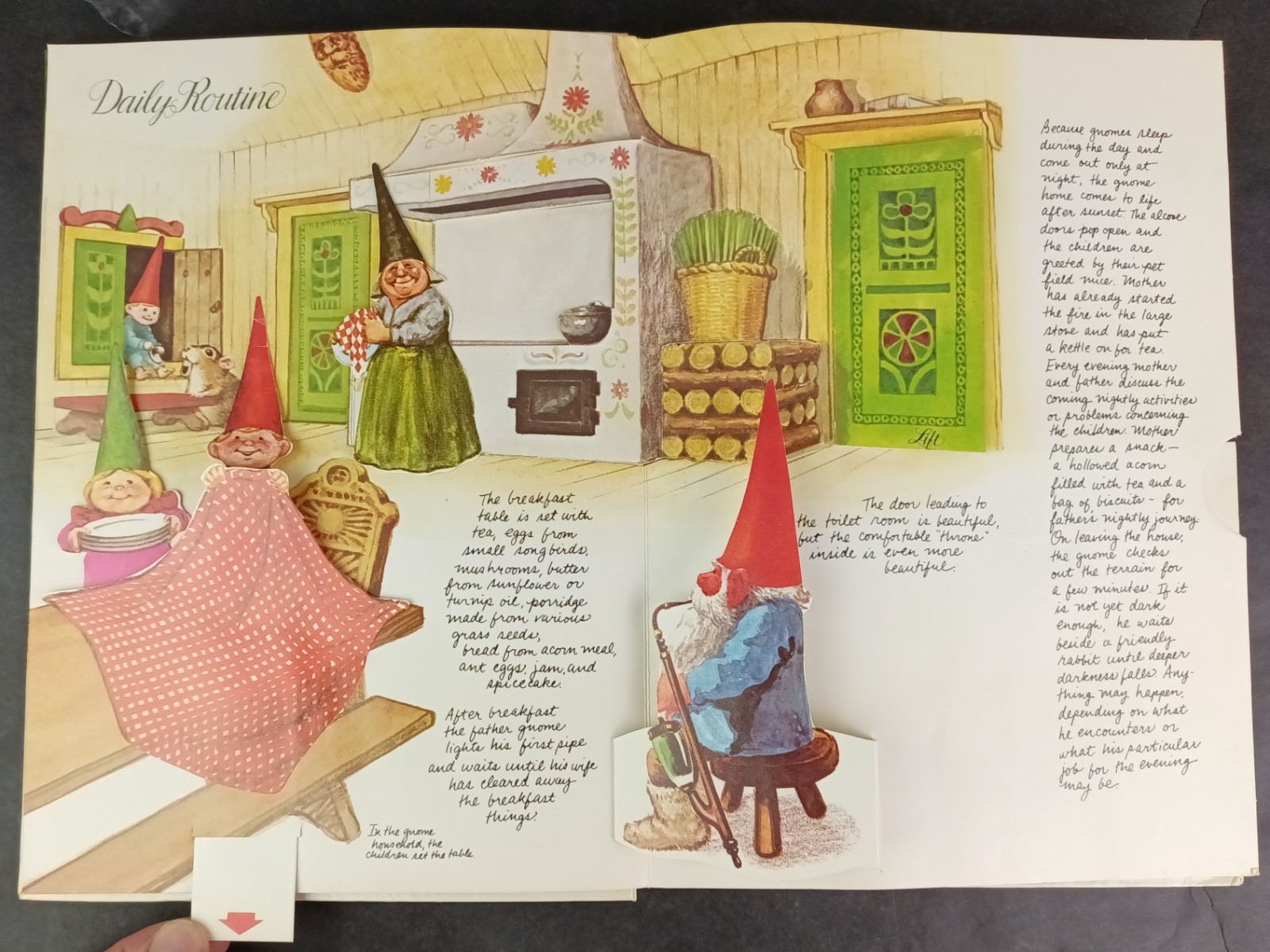 The Pop-Up Book of Gnomes ©1979 Vintage Abrams English Translation Cottagecore
