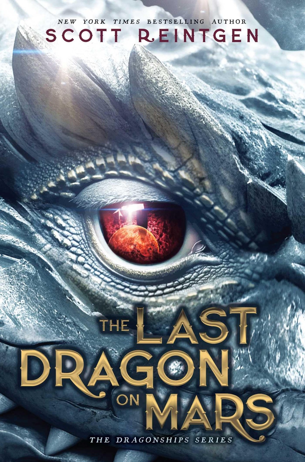 The Last Dragon on Mars (The Dragonships Series), Reintgen, Scott, Excellent Boo