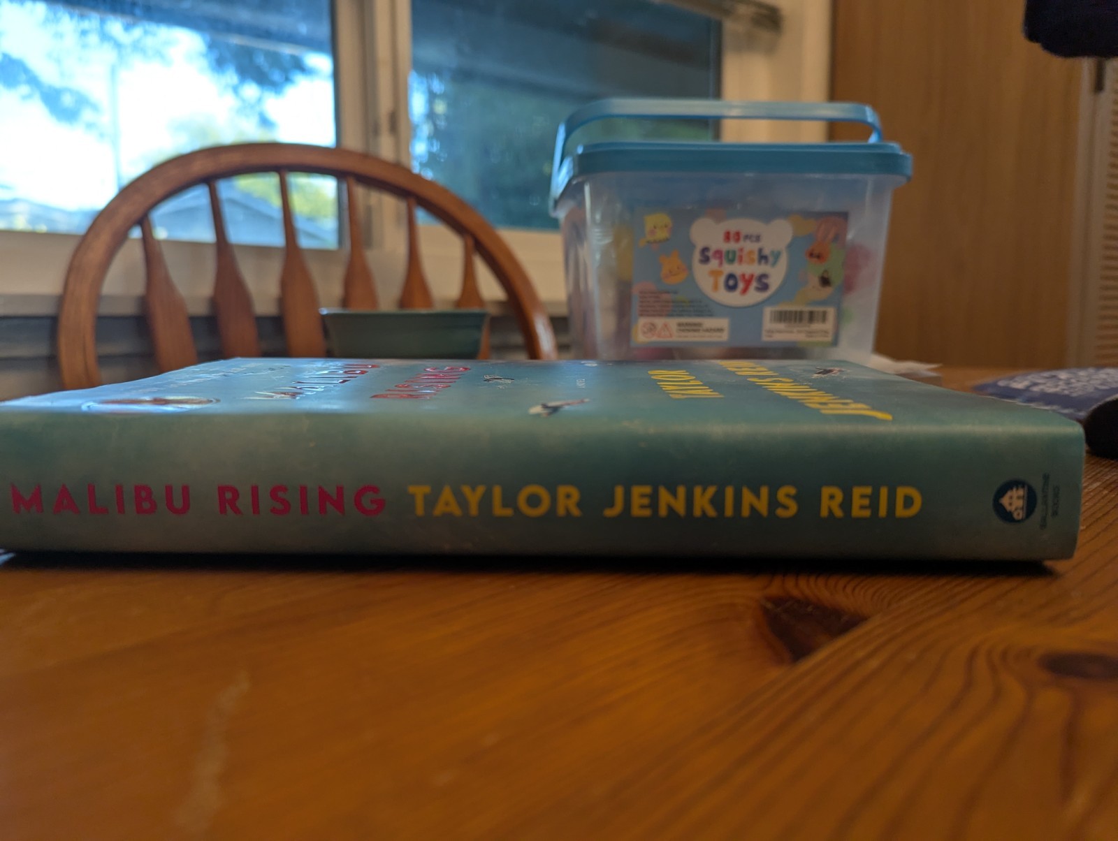 Malibu Rising: A Novel Hard Cover Like New