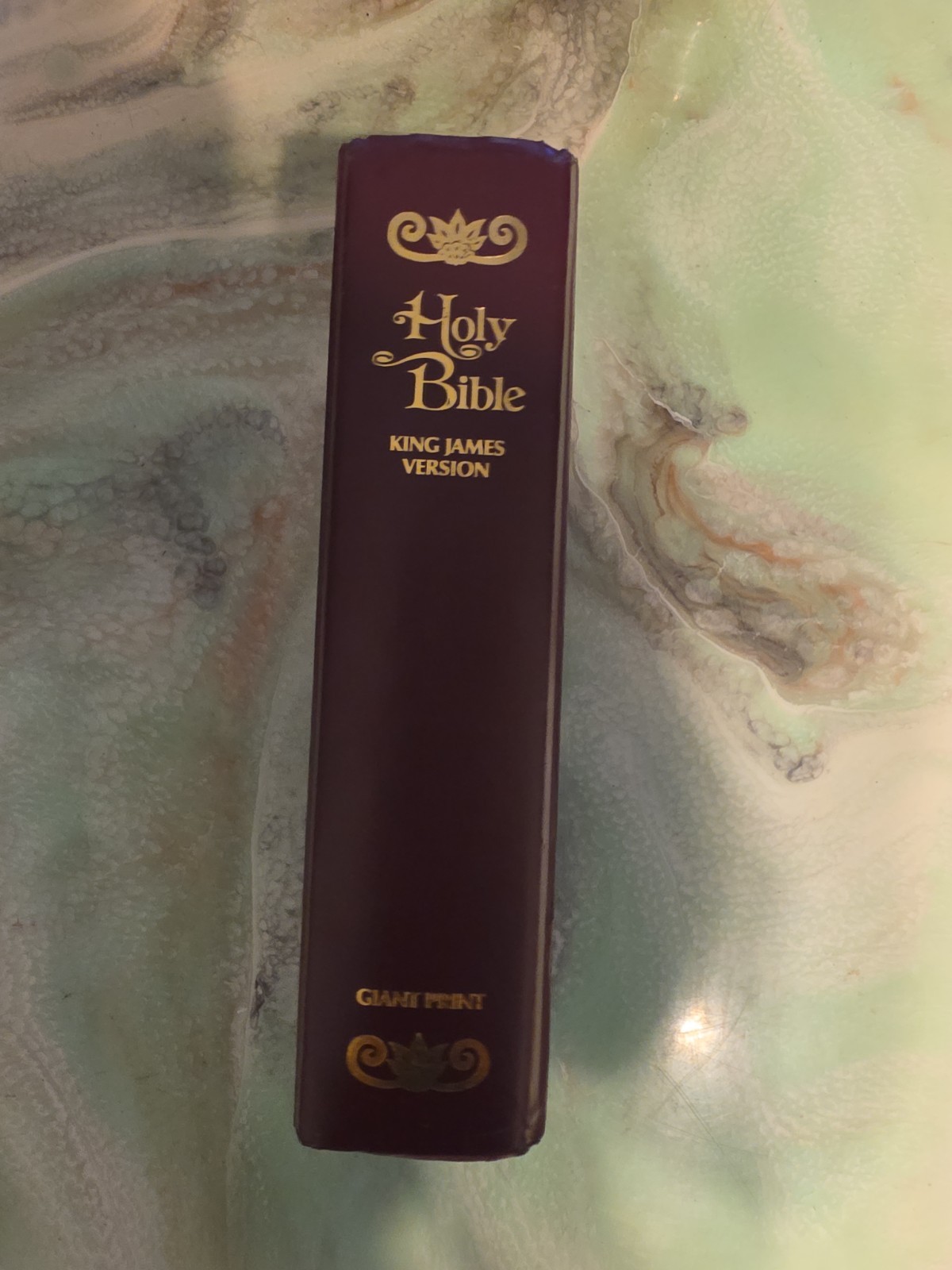 Holy Bible GIANT Print KJV Red Letter Edition Concordance Illustrated 1975