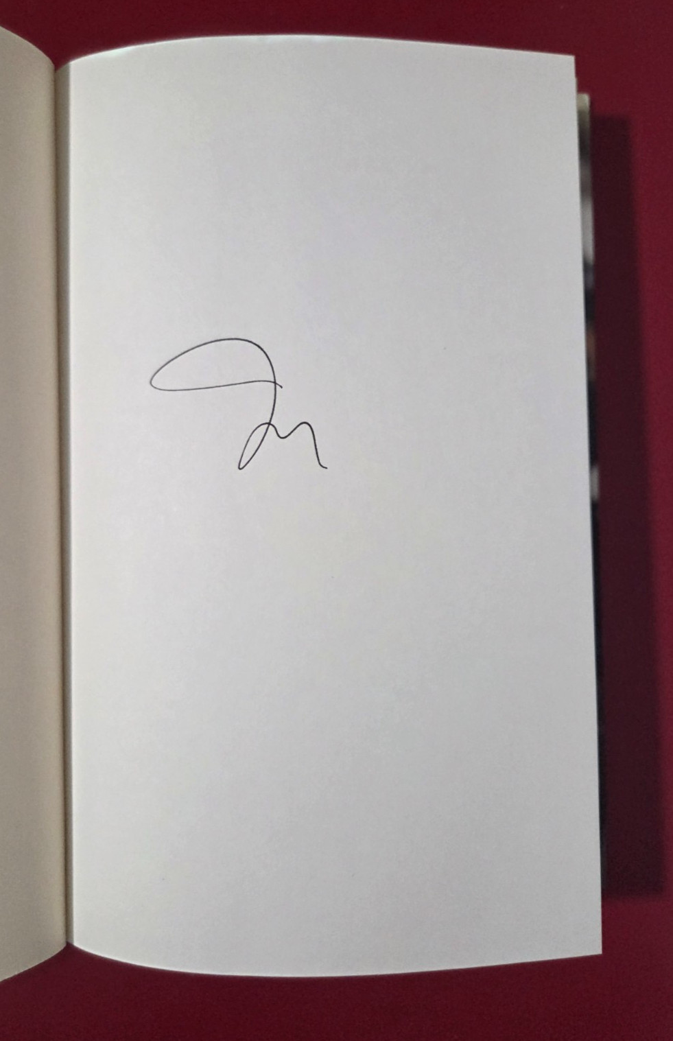 Signed None of This Rocks — Joe Trohman | 1st Edition 1st Printing HCDJ