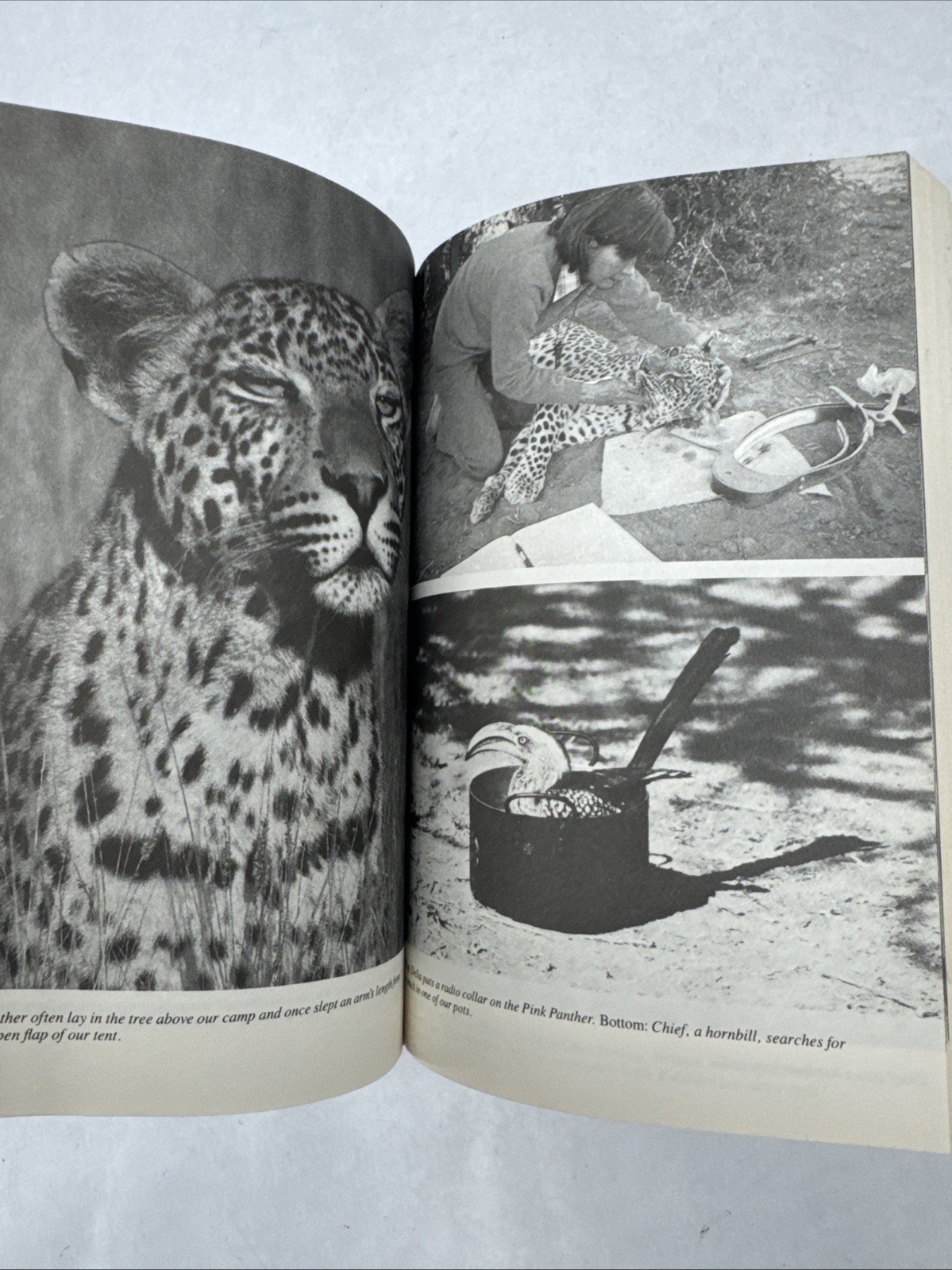 Delia Owens In Africa A Life In The Wild: By Mark Owens & Delia Owens 2019 B&N