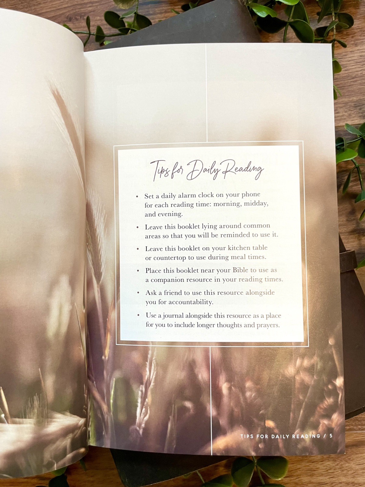 The Daily Grace Co. Meditations for Seasons of Waiting (New)