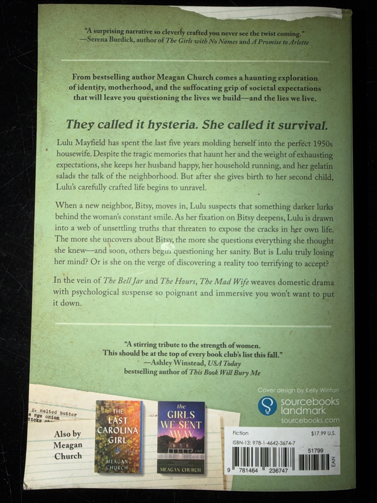 The Mad Wife: A Bestselling Novel of Motherhood and Madness