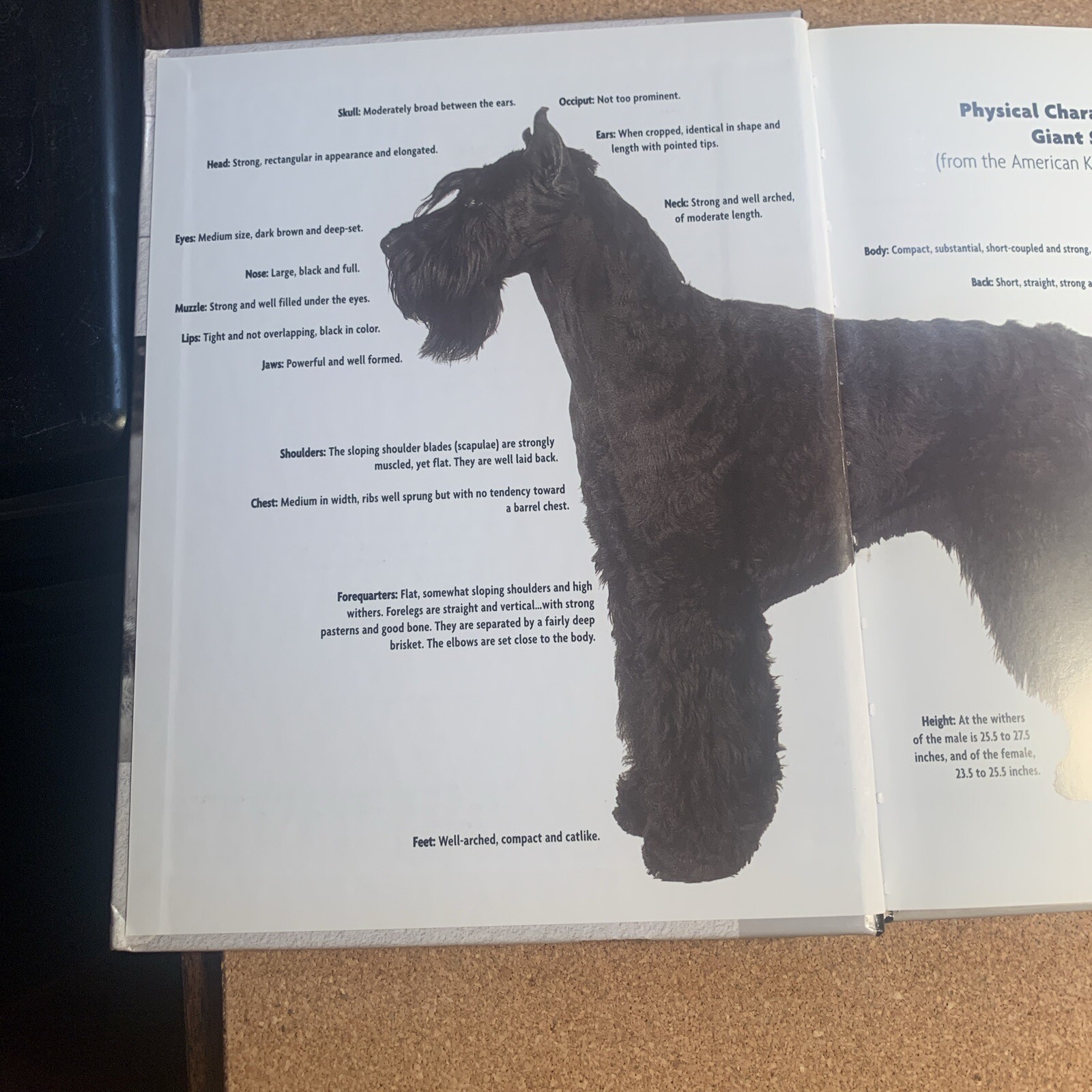 A Kennel Club Book Giant Schnauzer Comprehensive Guide To Owning And Caring For