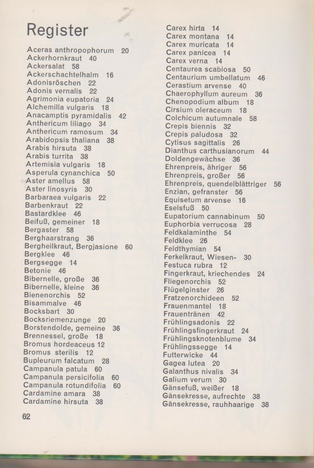 Wiesenblumen II (Hallwag Taschenbuch 24 Botanik) (Hardcover: Meadow Flowers) In