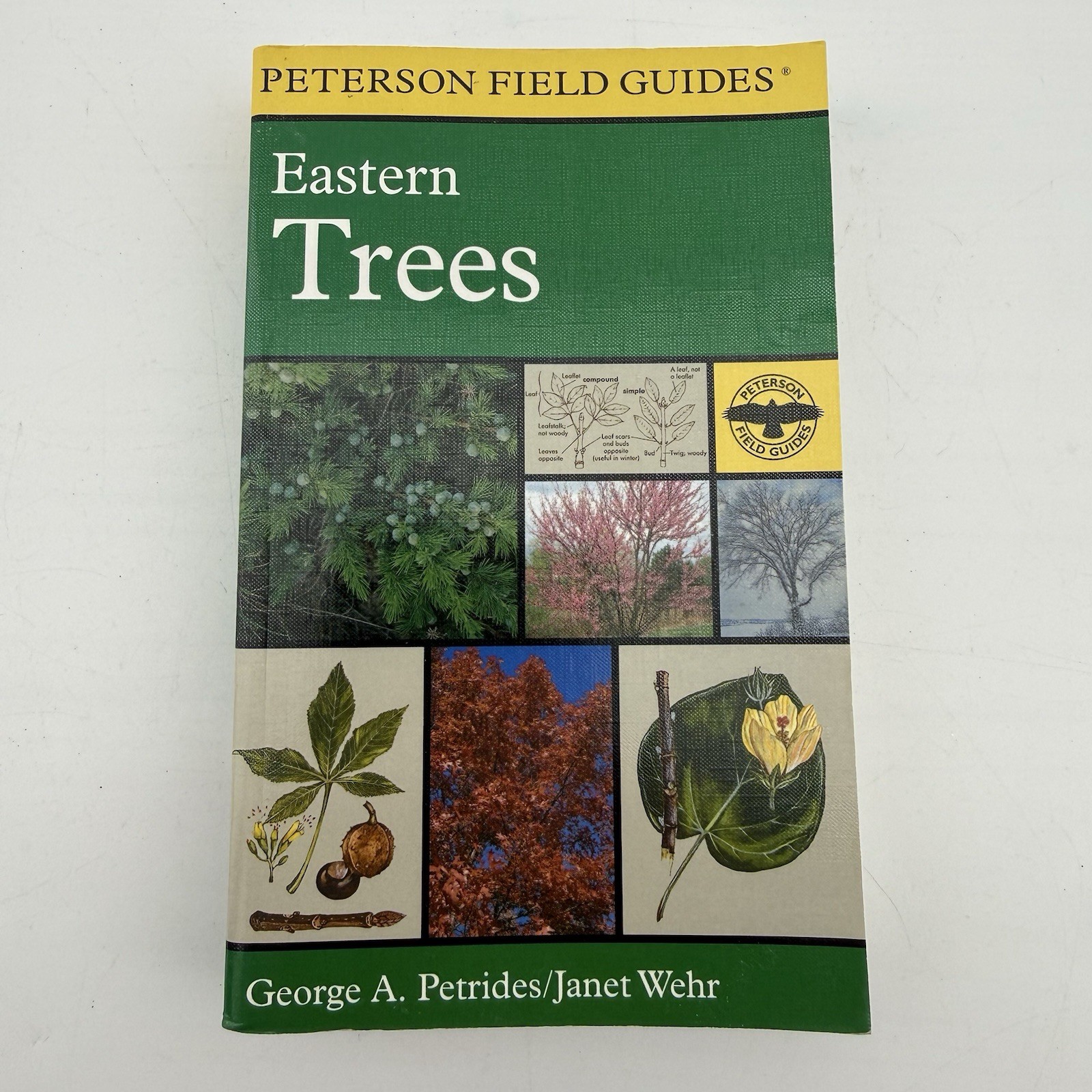 Peterson Field Guide to Eastern Trees George A. Petrides Janet Wehr