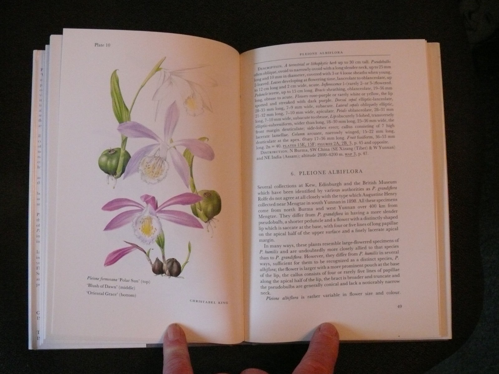 The Genus Pleione A Kew Magazine Monograph by Phillip Cribb and Ian Butterfield