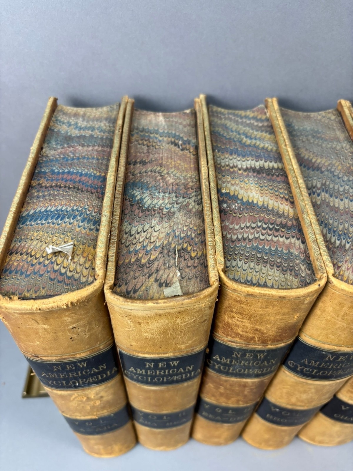 The New American Cyclopedia Compl 16 Vol Set D. Appleton & Co Early 1861 Leather