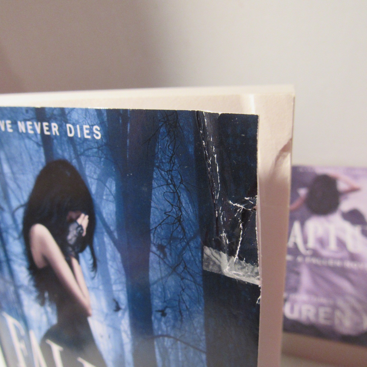Lauren Kate Lot of 5 (Paperbacks – 2010s) THE FALLEN SERIES (Vol. 1, 2, 3, 4, 6)