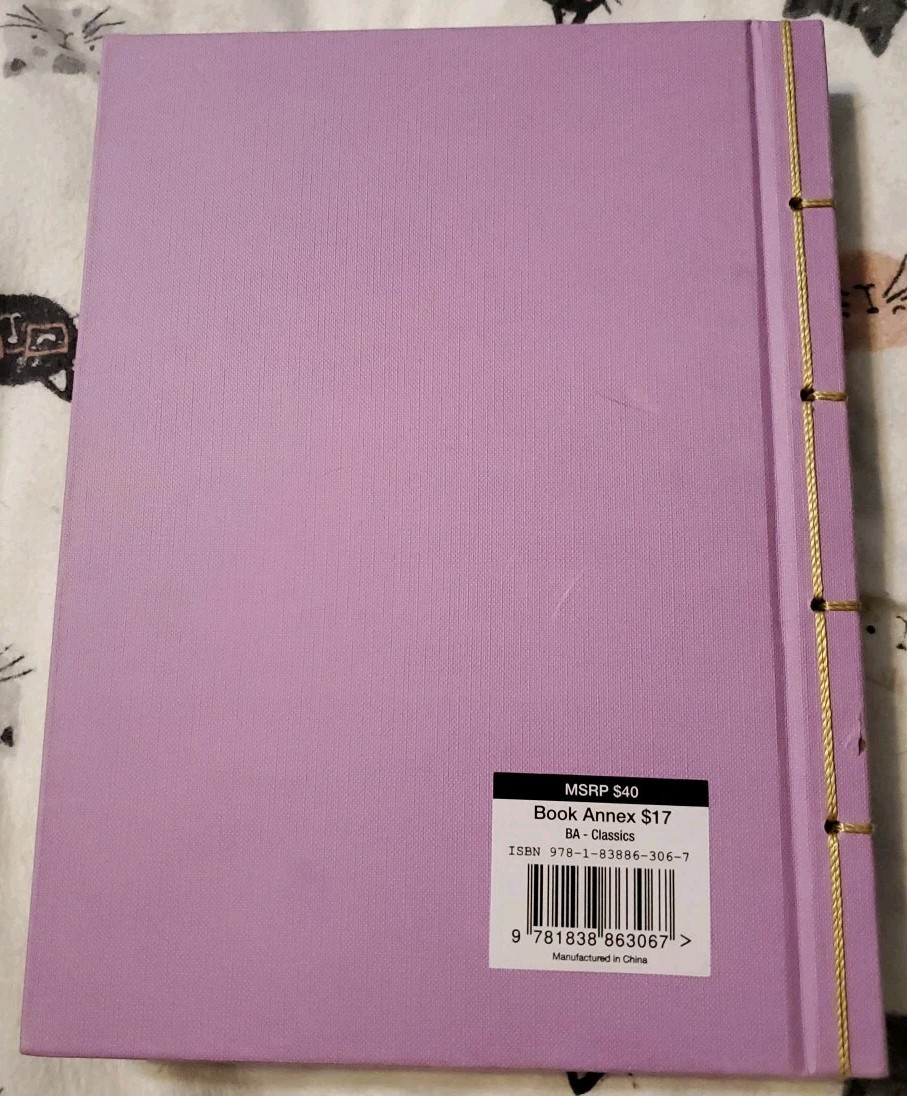 RUMI ILLUSTRATED by Jalal Al-Din Rumi (Chinese Bound Hardcover) *Brand New*