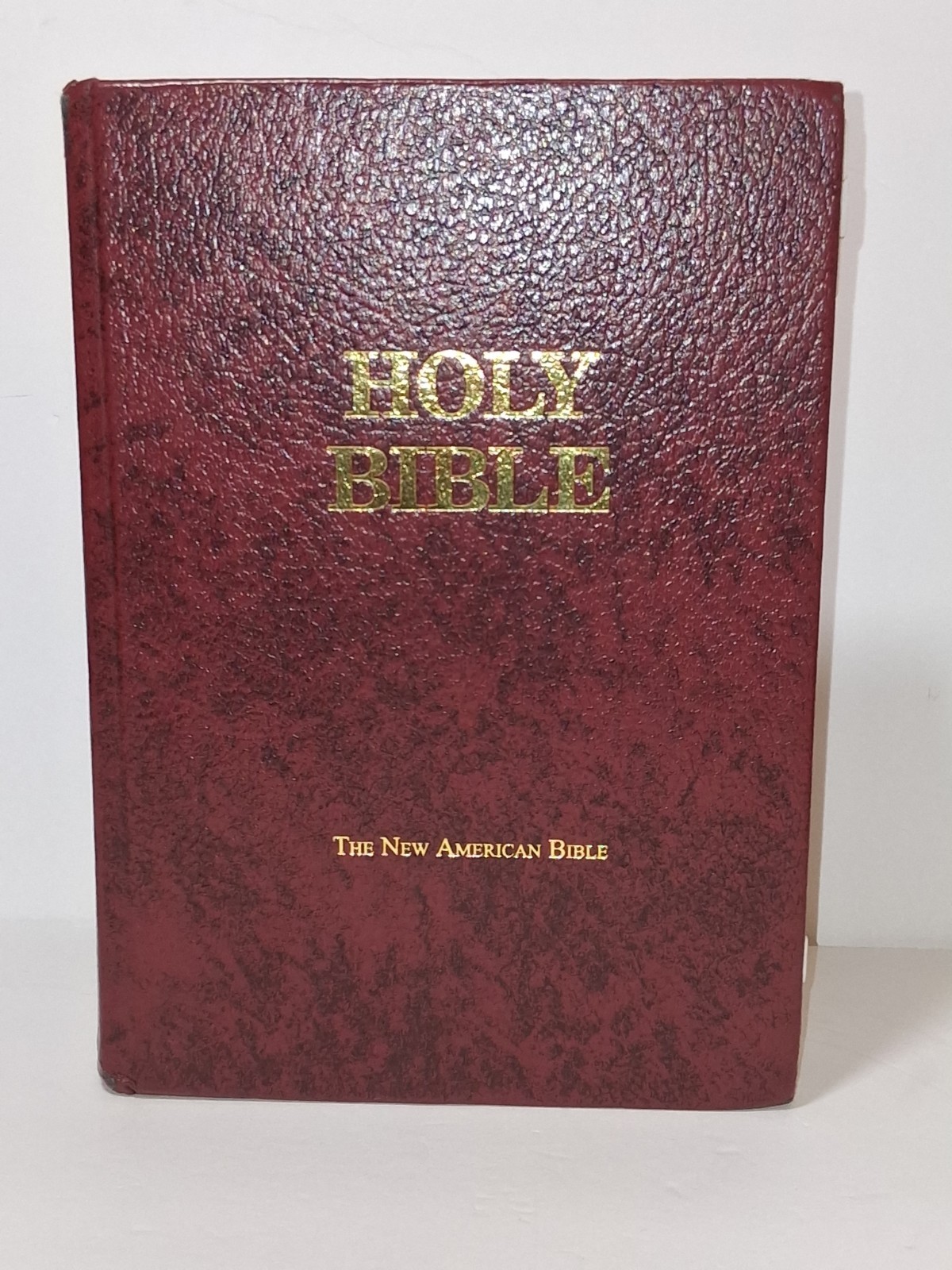 The New American Bible Fireside Catholic Study Edition NAB Leather Cover
