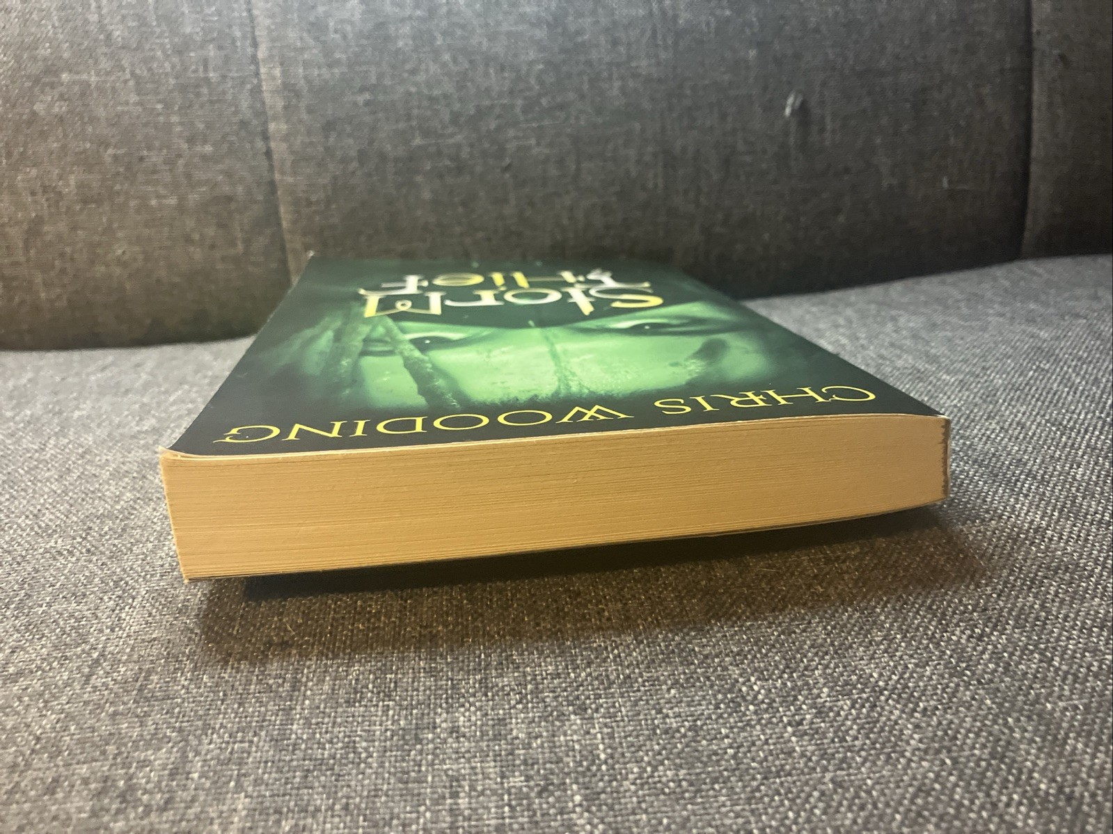 Storm Thief by Chris Wooding (2007, Trade Paperback) NM SCHOLASTIC