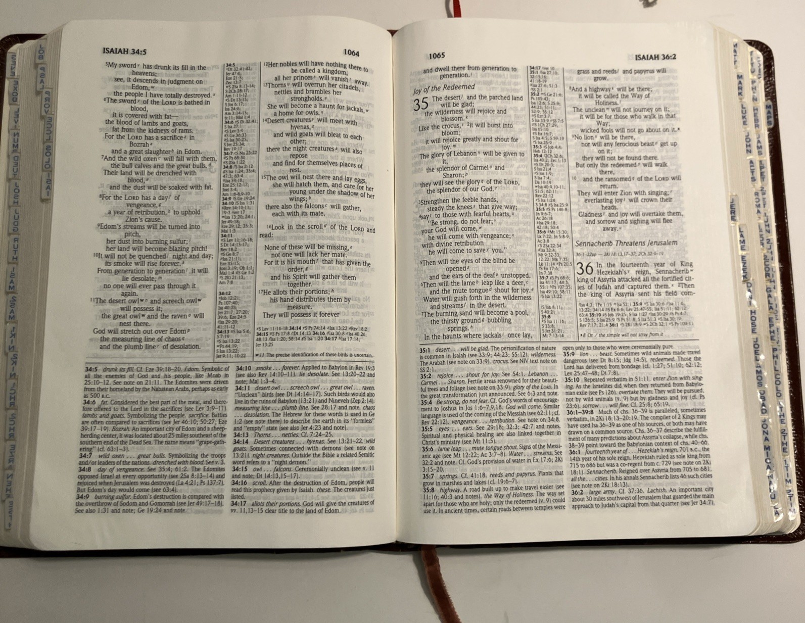 VTG NIV Study Bible Red Letter Zondervan 1985 Bonded Leather Meticulously Tabbed