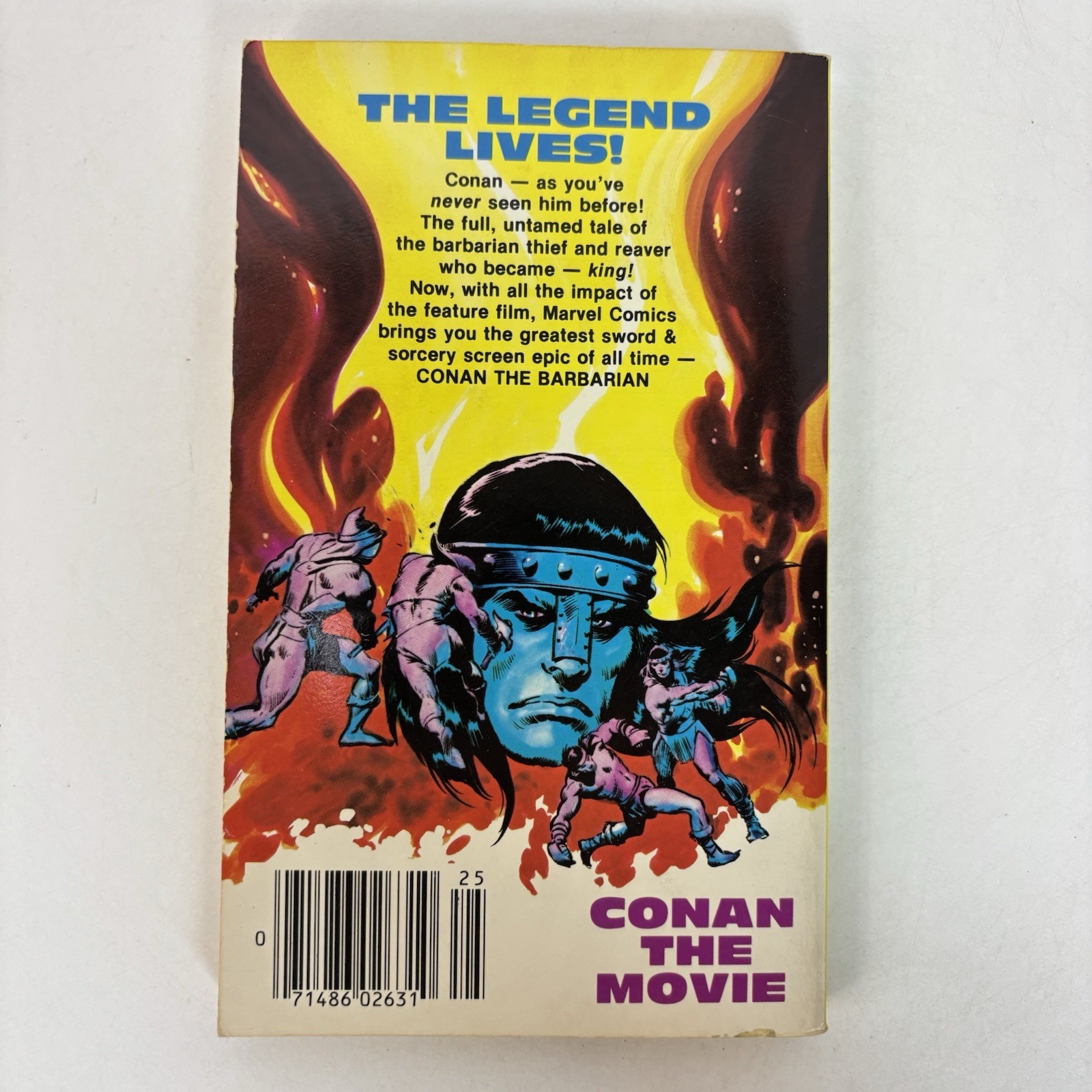Conan The Barbarian Movie Adaptation Marvel Illustrated Book 1982 PB Graphic 3A
