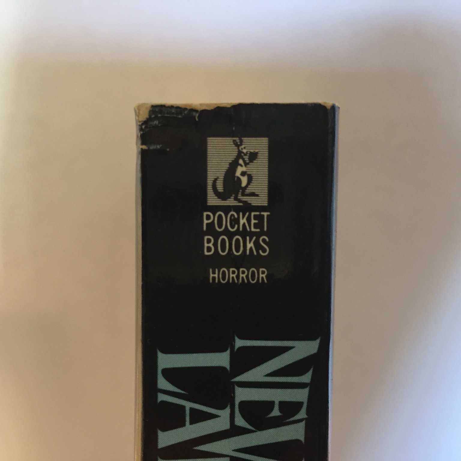 Neverland Douglas Clegg 1991 Pocket Books Coming Of Age Southern Gothic Horror