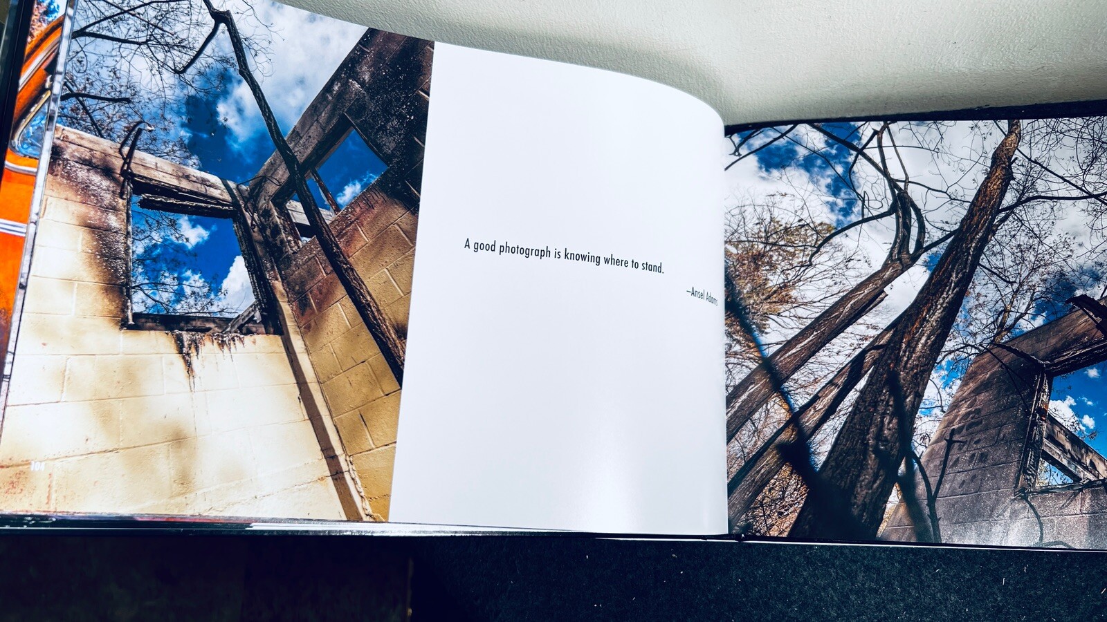 The California Camp Fire: Reflections and Remnants SIGNED by Author HC/DJ