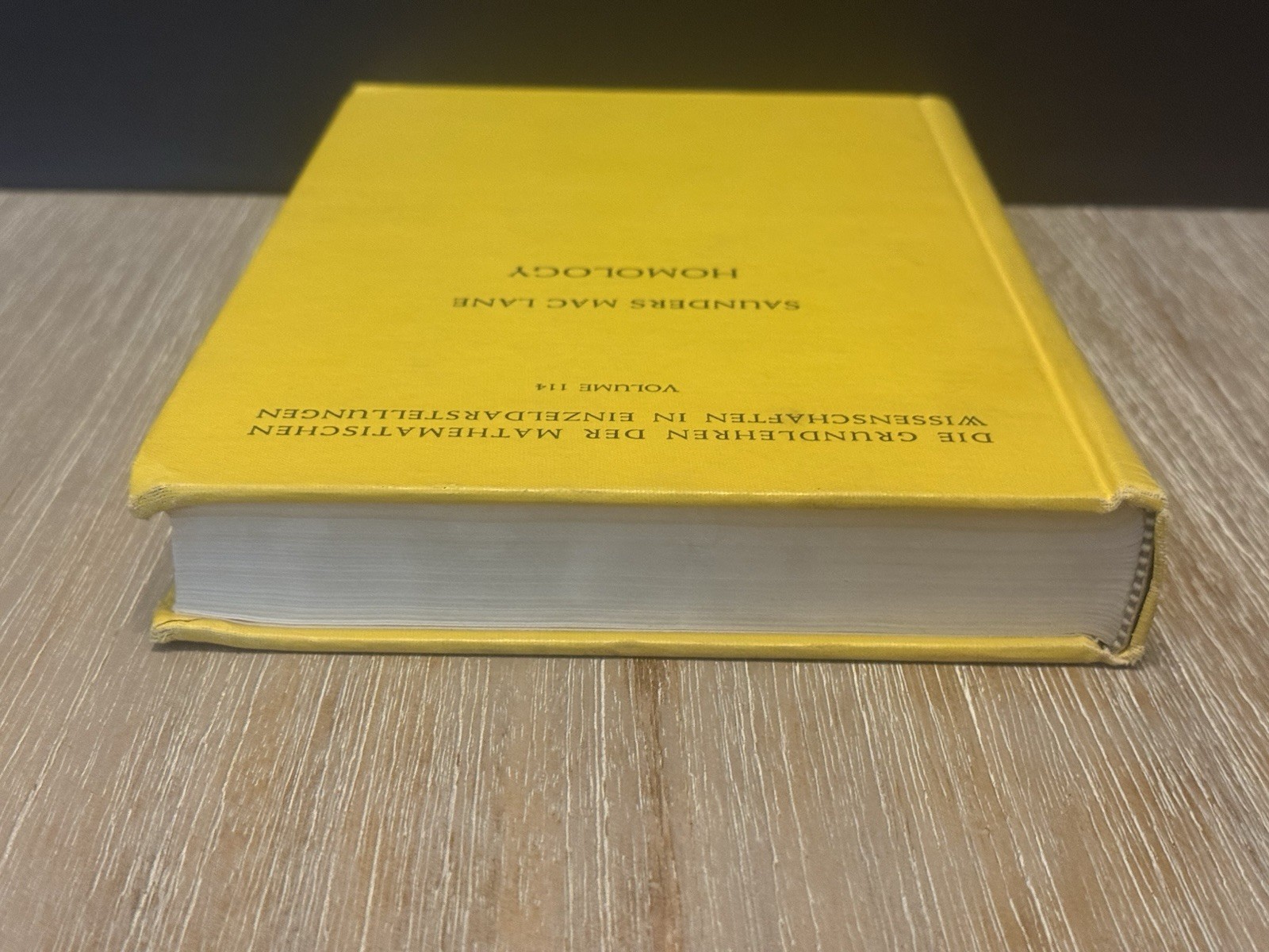Homology by Dr. Saunders MacLane 1963 HC / Volume 114