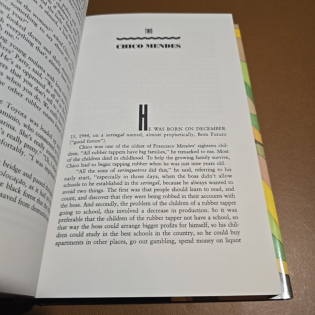 Into The Amazon By Augusta Dwyer