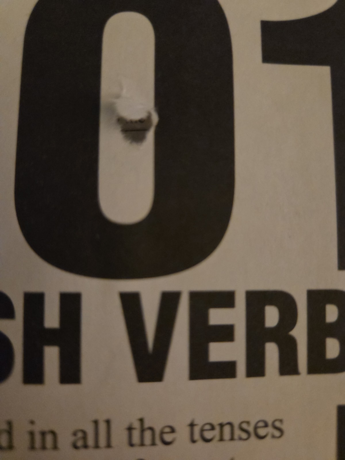 201/301 Verbs Series: 301 Polish Verbs Klara Janecki Barron’s Educational Series