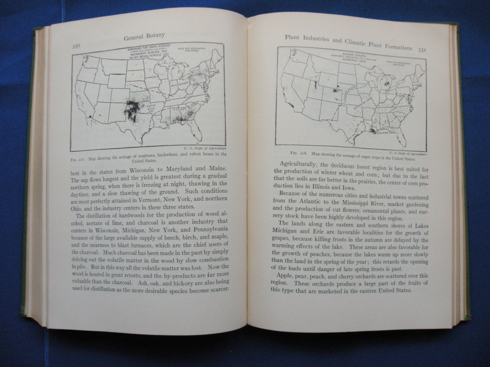 Book General Botany Edgar Nelson Transeau 1935 560 pages