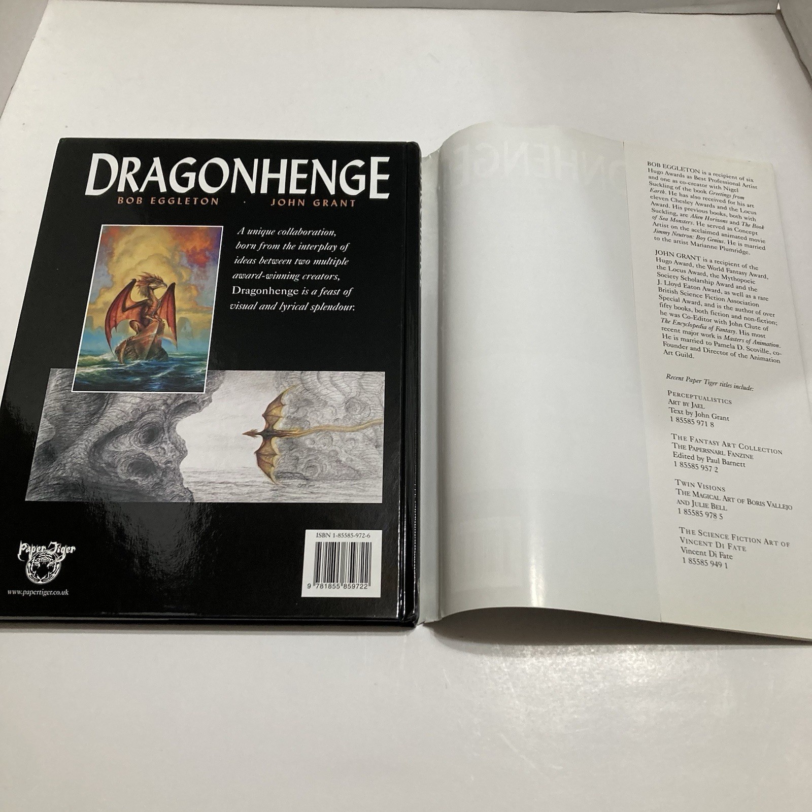 Dragon Henge and Star Dragon Books Lot of 2 Bob Eggleton & John Grant Artistic