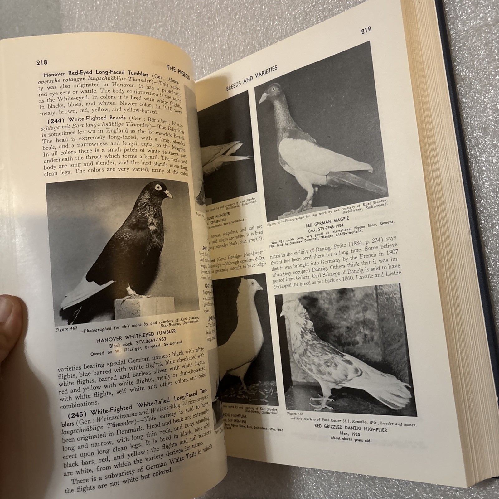 Pigeon by Wendell M. Levi (Hardcover 1998 Reprinted Edition) No DJ