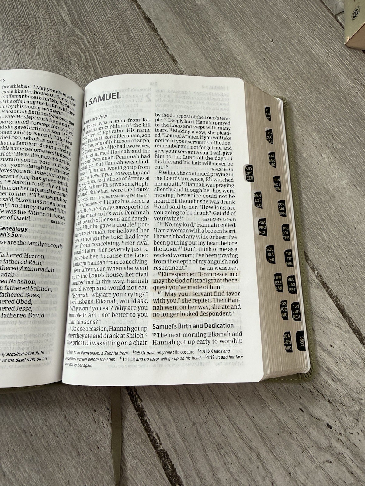 ✝️ CSB – Holy Bible LARGE PRINT Personal Size Reference Bible INDEXED Holman