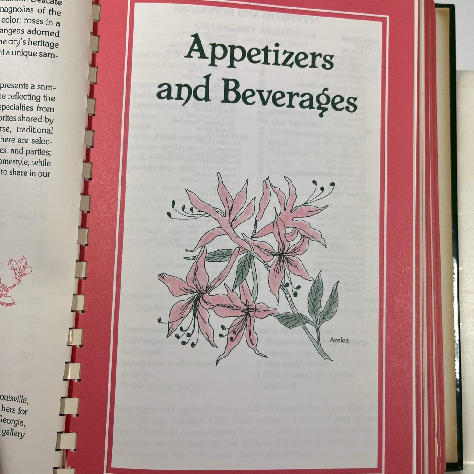 Peachtree Bouquet: A Culinary Arrangement – Junior League of Dekalb GA Cookbook