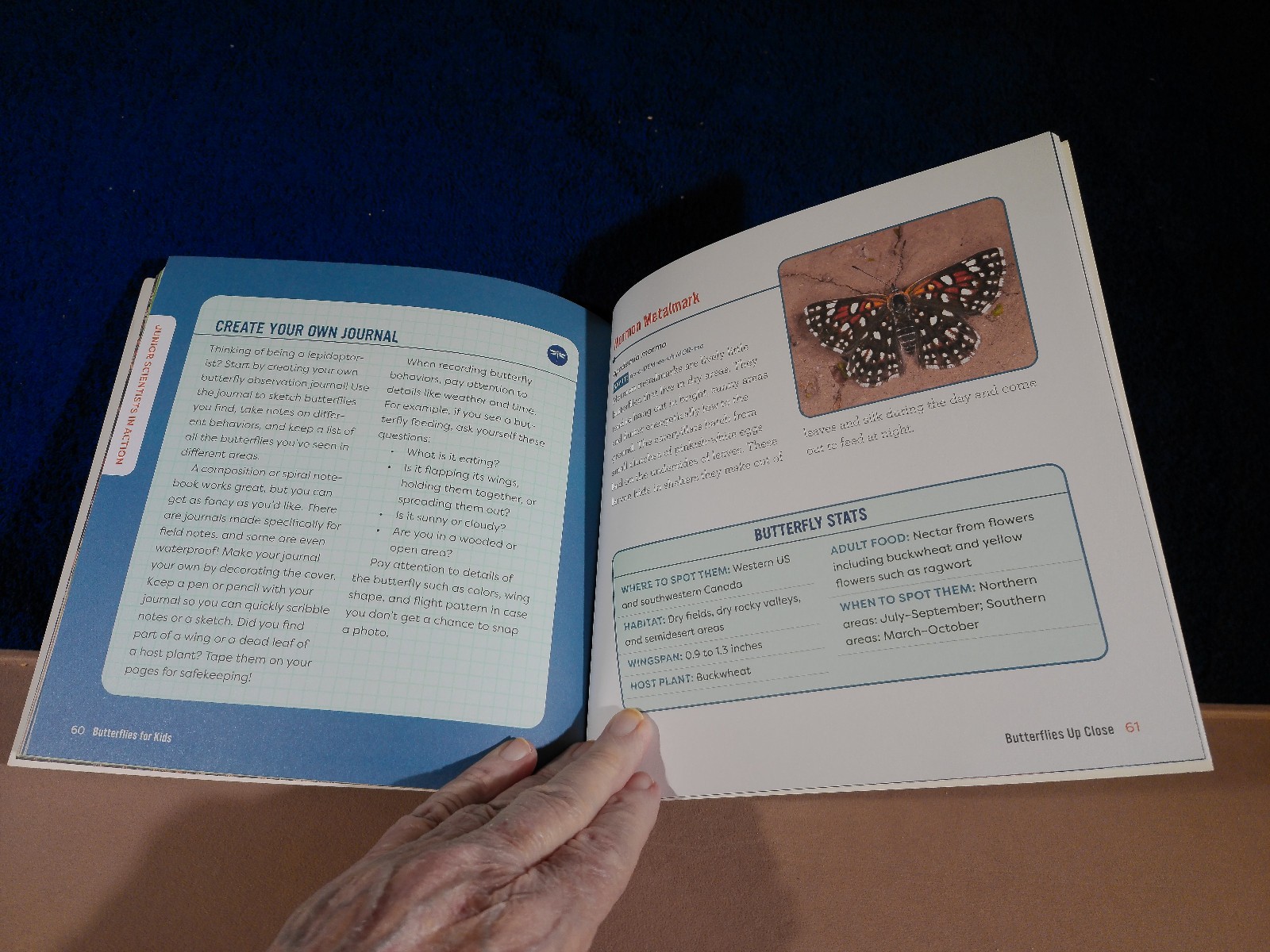 BUTTERFLIES FOR KIDS AGE6-9 JUNIOR SCIENTIST’S GUIDE 72 PAGES 2021
